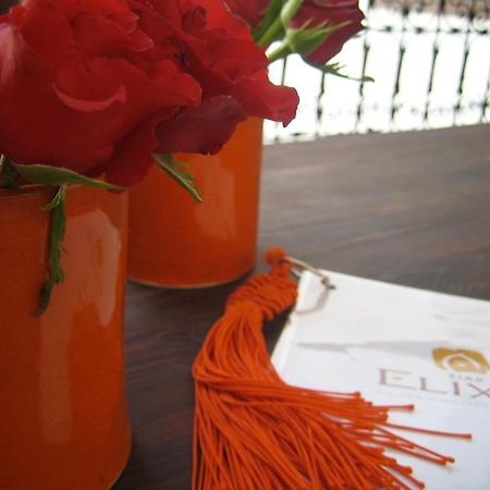 Riad Elixir Marakeş Dış mekan fotoğraf