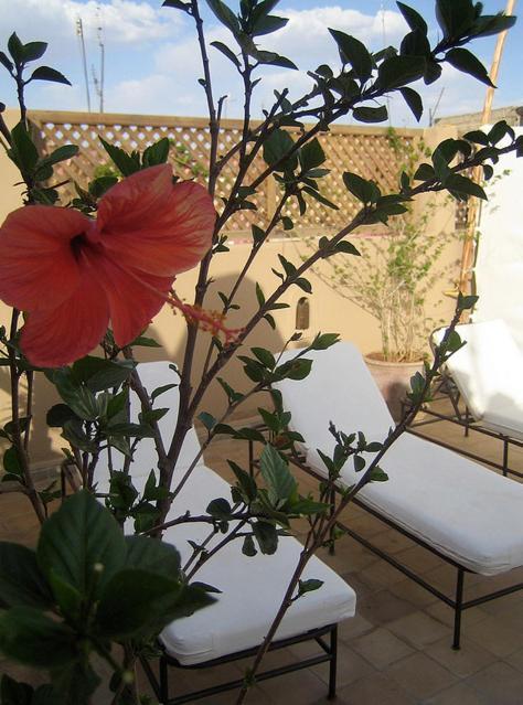 Riad Elixir Marakeş Dış mekan fotoğraf